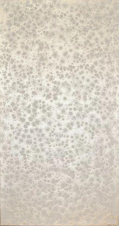 《89号作品》,80cm×150cm,布上BZ材料,2008