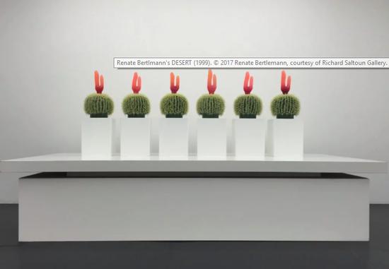 Renate Bertlmann, 《沙漠》,1999。 图片:Richard Saltoun画廊