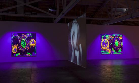Venus Over Los Angeles 的“CUNT“展览视图。图片:Venus Over Los Angeles