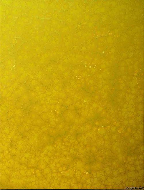 《创世纪7号作品》,92cm×70cm,布上BZ材料,2008