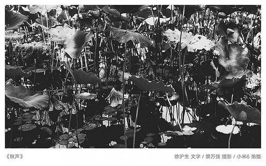 Frish&黎万强联合影展: