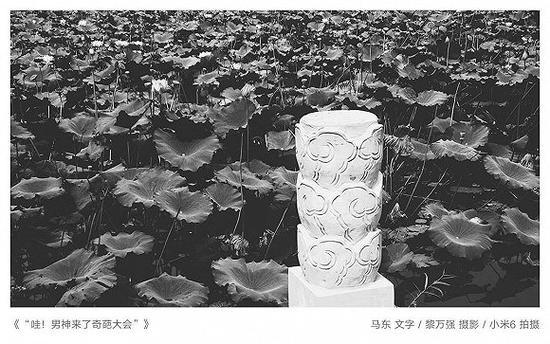 徐沪生&黎万强联合影展: