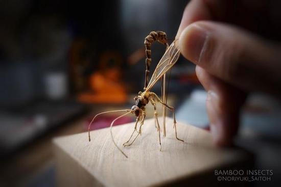 蚊子