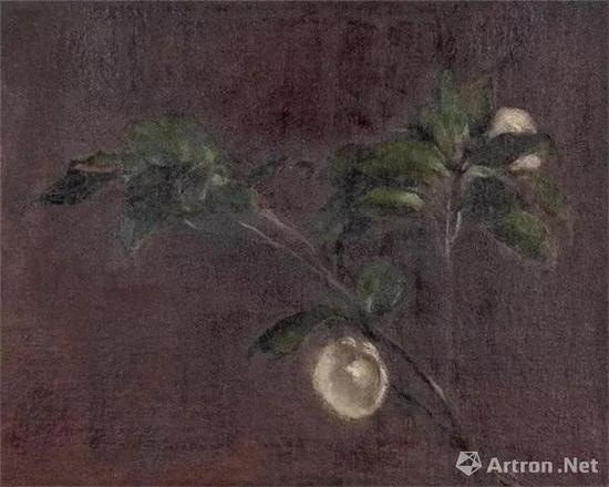 王道源茶花20世纪30年代