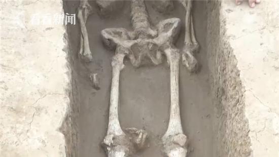 很多墓主人都曾经被“剁手”