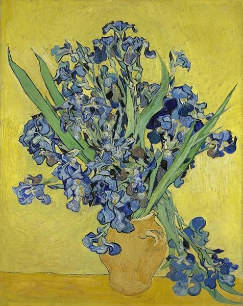 Irises,1890,Vincent van Gogh,梵高博物馆藏