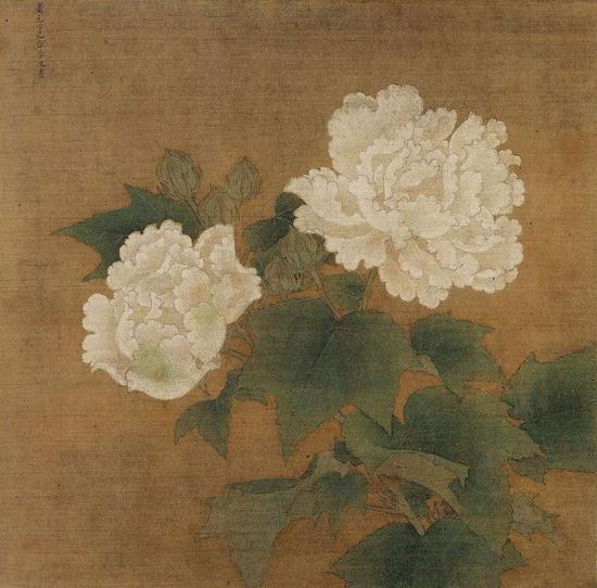 《红白芙蓉图》之白芙蓉 李迪 东京国立博物馆藏