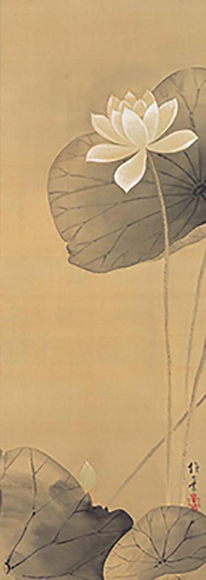 酒井抱一画 白莲图 江户时代(19世纪) 京都细见美术馆藏