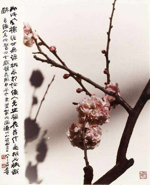 《如此风标绝世无》 胡崇贤/摄影, 张大千/墨