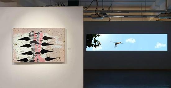 “三种对象”展览现场 半张图艺术馆 | HALF IMAGE