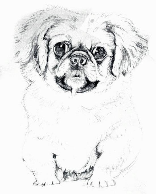 陈佩秋,《八犬图底稿》
