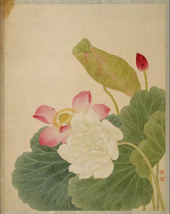 清 唐桂凝 《 花卉册》