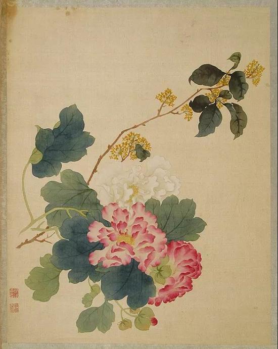 清 唐桂凝 《 花卉册》