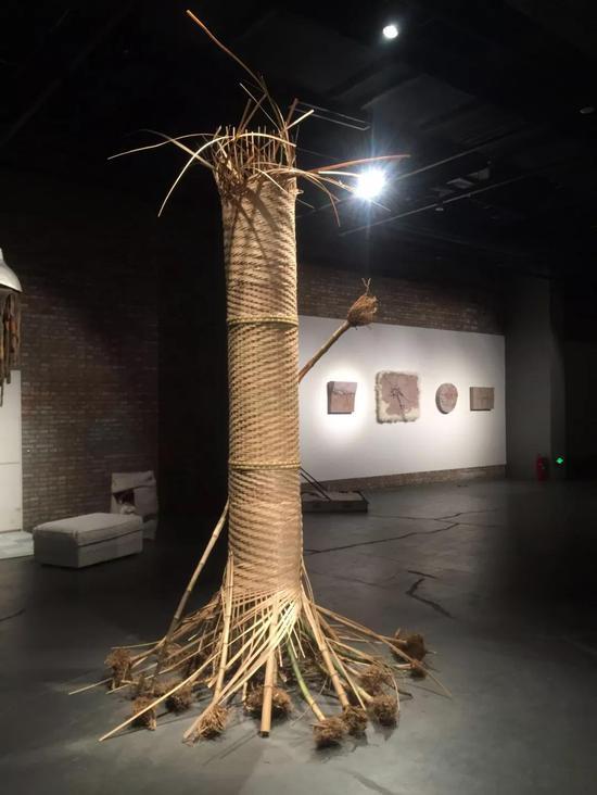 孟庆祝 另类生态 竹子 320×200×200cm 2018年