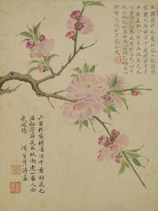 明 项圣谟《花卉图册》