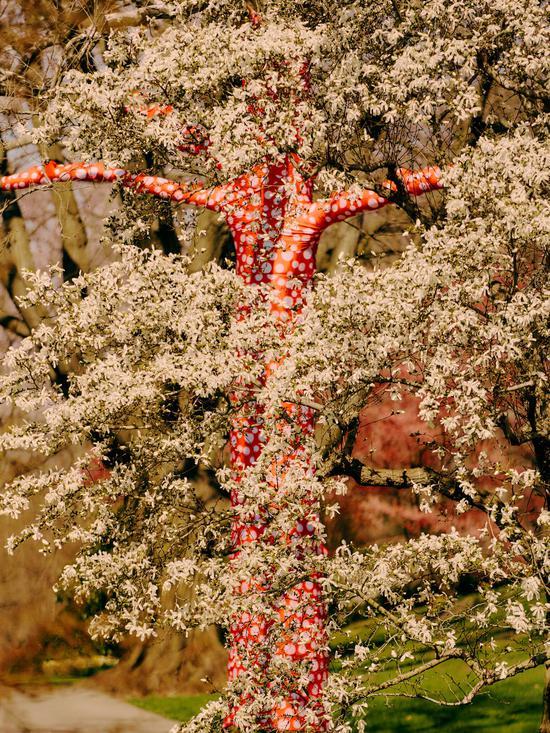 《爬上树的波点》(Ascension of Polka Dots on the Trees)