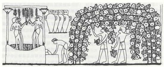 古埃及壁画 约公元前1400年 葡萄酒的生产展示