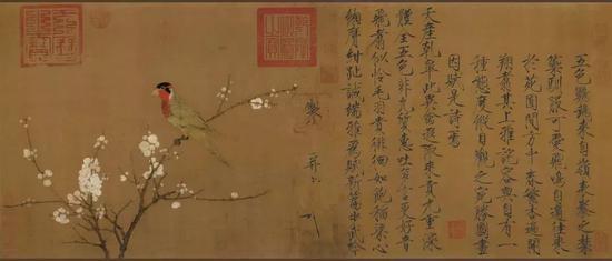 宋赵佶五色鹦鹉图(画心) 绢本53.3x125.1cm