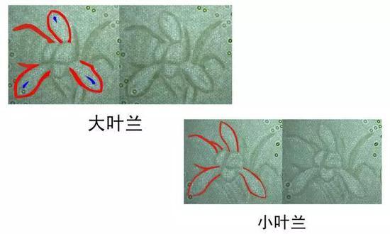 99100溢价不高,收藏难度较低