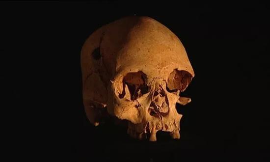▲卢西亚,11500年的一具女性头骨,是在美洲大陆发现的最古老的头骨