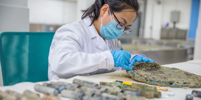 司法护绿行 齐鲁青未了