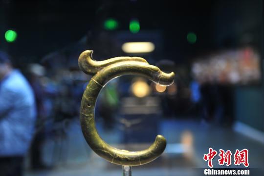 玉C形龙。 于海洋 摄