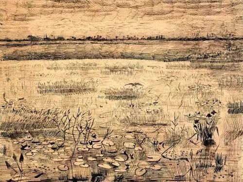 Marsh with Water Lillies, Etten, 1881