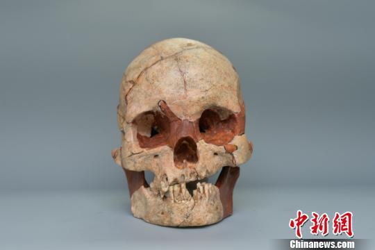 图为人类头骨化石 钟欣 摄