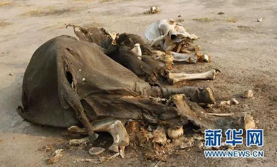 中国决心 有目共睹