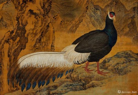 郎世宁、金廷标《火鸡图》中的锦鸡之一