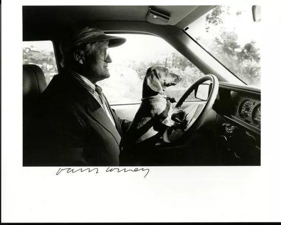 Ray Charles White,《在洛杉矶大卫·霍克尼驾车时抱着斯坦利 》(David Hockney and His Dog Stanley Driving in LA Signed by David Hockney),1989。图片:artnet价格数据库