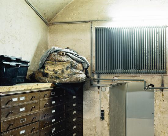 选自Skeletons in the Closet系列,Klaus Pichler摄