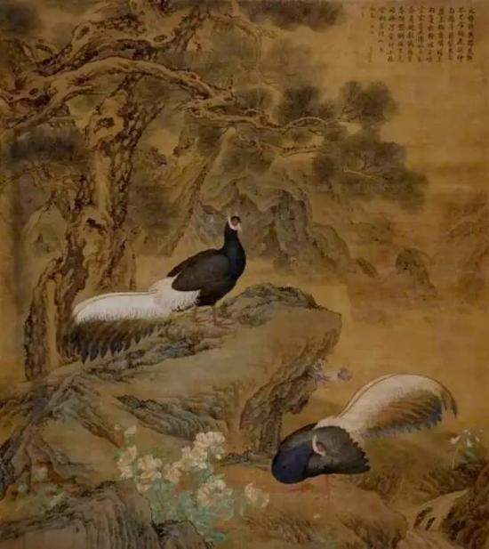 清 金廷标〈火鸡〉图 私人收藏