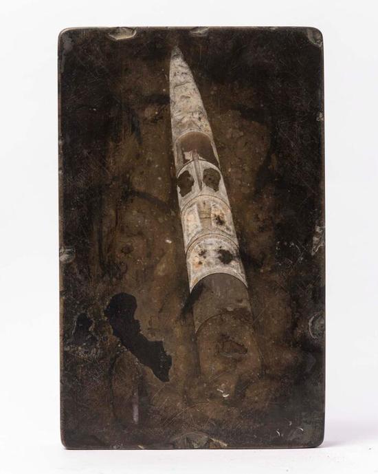 震旦纪角石砚(汤贻汾曾用砚·明)25.7x16.2x4.8cm