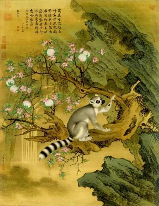 〈画交址果然〉图 郎世宁主绘、金廷标补景