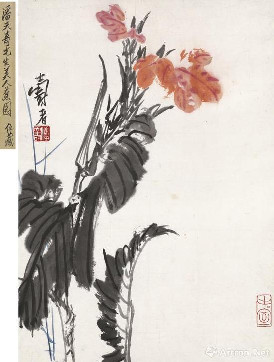 西泠印社2017秋拍 潘天寿 美人蕉图 设色纸本 立轴 59.5×42cm 款识:寿者。 钤印:潘天寿(白) 止止室(朱) 签条:潘天寿先生美人蕉图。任藏。 说明:由潘天寿家属友情提供。