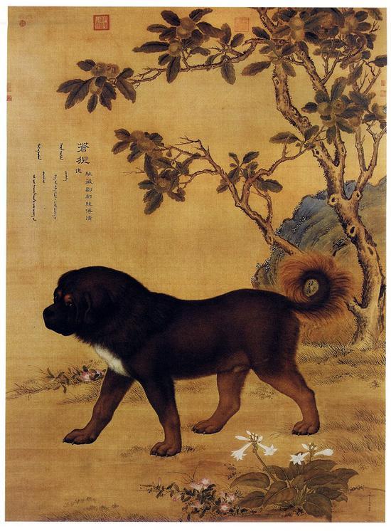 郎世宁 十骏犬图之十 《苍猊》