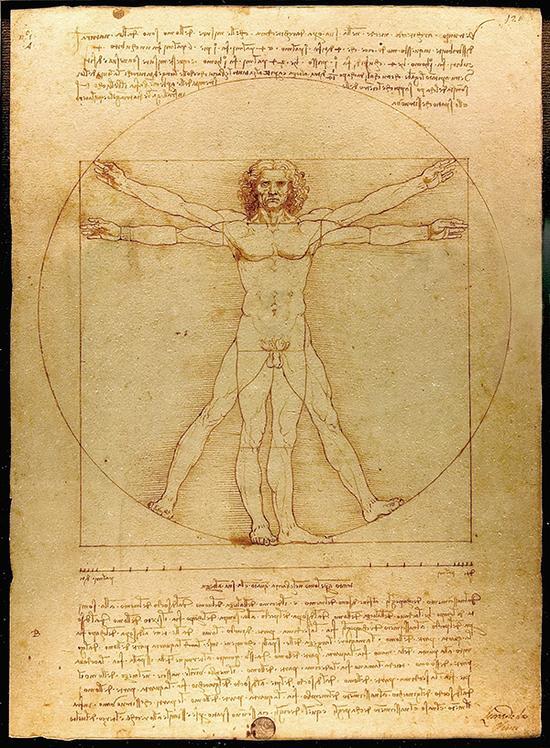 《维特鲁威人》(Vitruvian Man),达・芬奇,约1487年,钢笔和墨水,34.4厘米×25.5厘米,威尼斯的学院美术馆