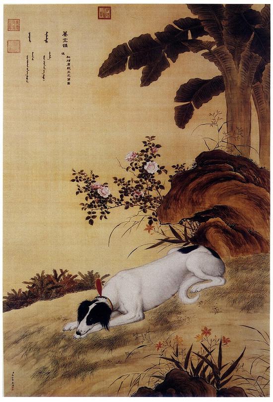 郎世宁 十骏犬图之八 《蓦空鹊》