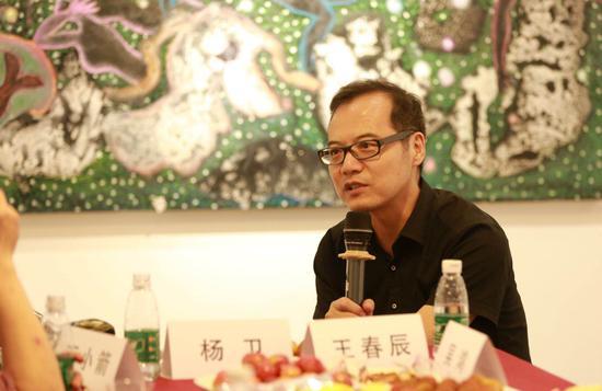 王春辰,中央美院教授批评家策展人