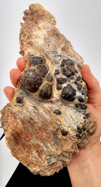 翠榴石粒状集合体,25厘米×10厘米 A。 Burlakov拍摄