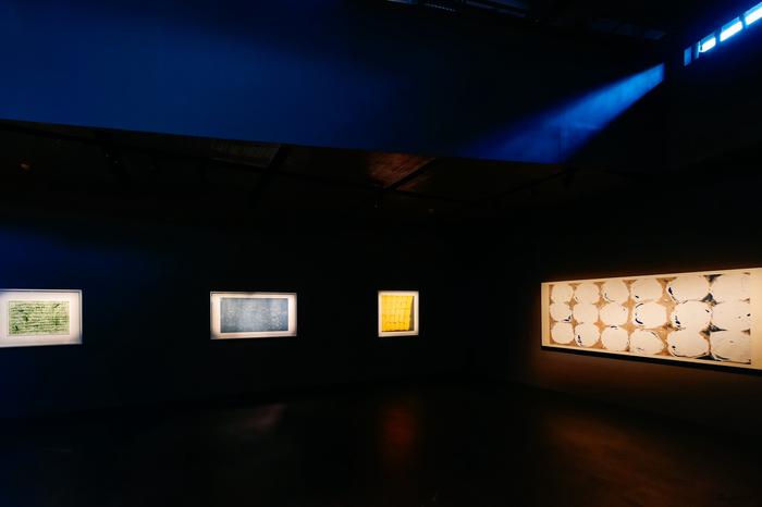 知美术馆“魏立刚:万物”展览现场
