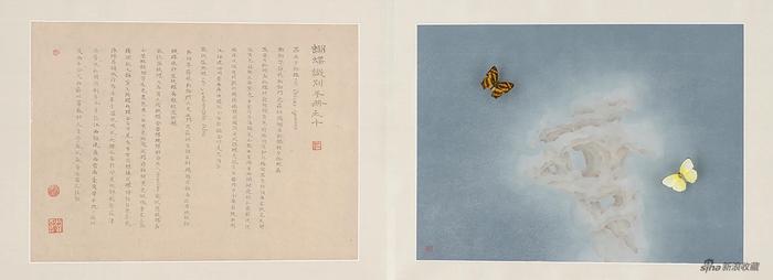 《蝴蝶识别手册之十》