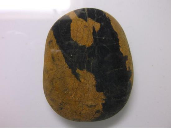 大力金刚 4.5x5.7cm