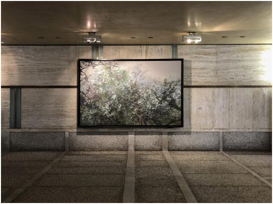 《故春》洪凌 / 布面油画 / 170×260cm / 2016
