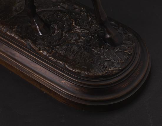 有缰绳的马