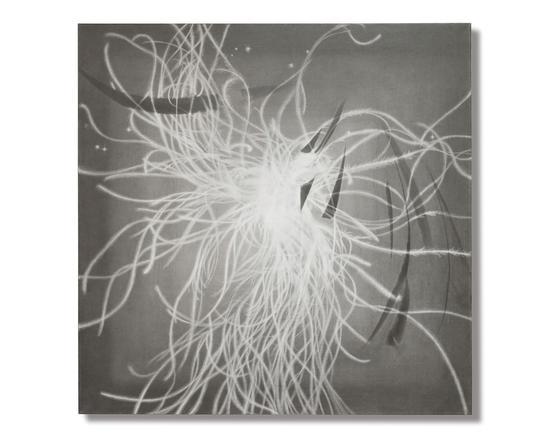 《仙鳥草》纸上铅笔70cm×70cm 2018年