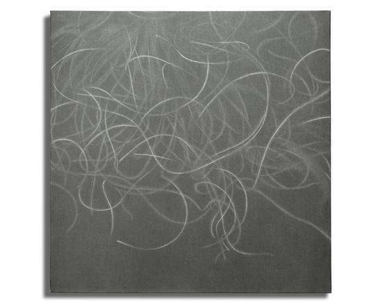 《仙鳥草Ⅲ》纸上铅笔55cm×55cm 2018年