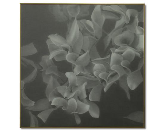 《暗香》70cm x70cm 纸上铅笔 2018年