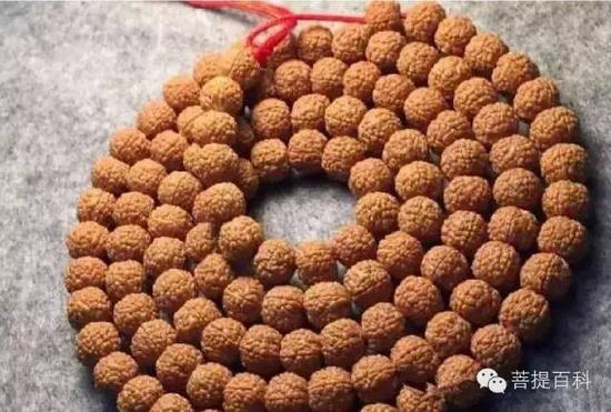 麒麟纹小金刚